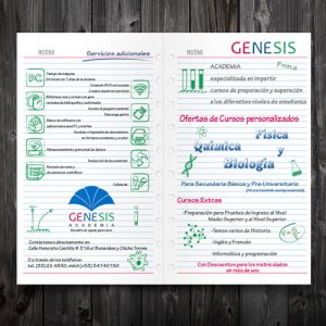 Suelto2-GenesisAcademia
